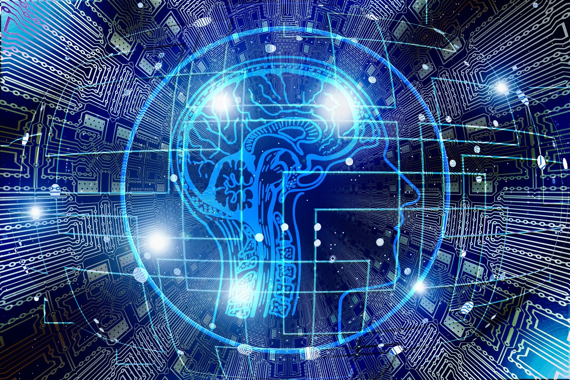 Identifying and Leveraging AI & ML opportunities